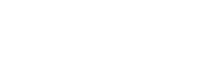 LittleSwan 全心全意小天鹅